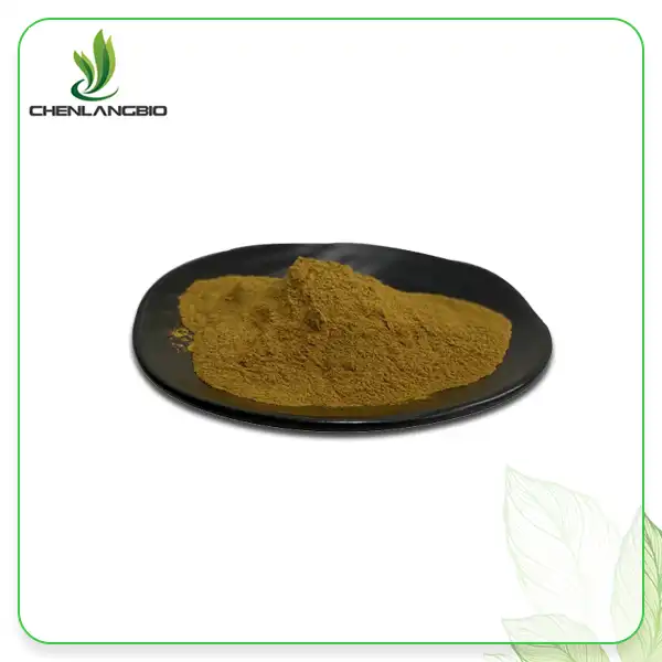 Butterbur Extract Powder Butterbur Extract Powder